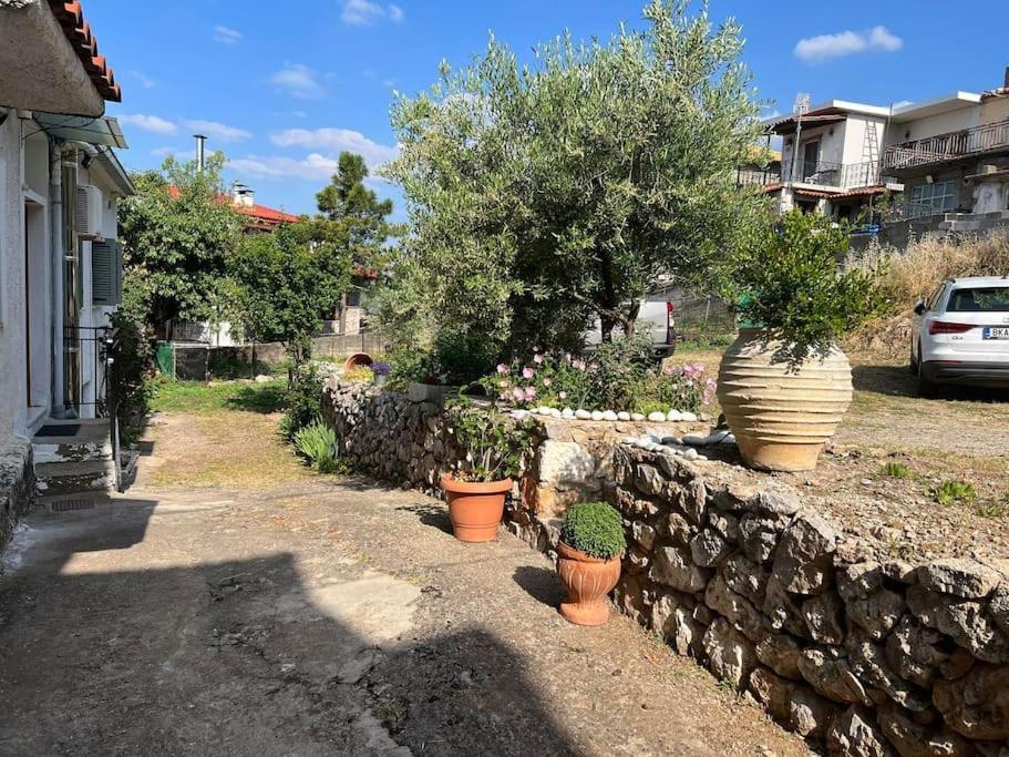 Guesthouse Simou With View 3 Bedrooms Arachova Zewnętrze zdjęcie
